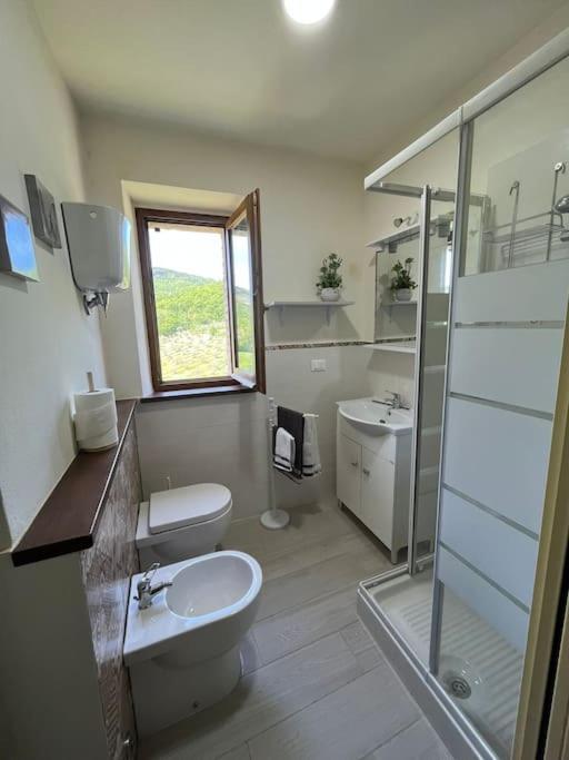 Costa Del Sole 42 Apartment Cetona Exterior photo